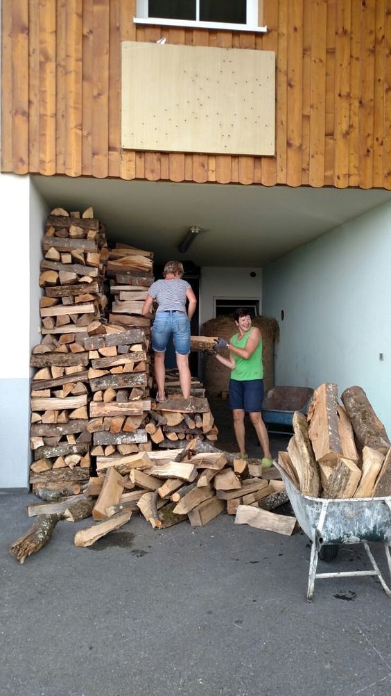 Stammholz