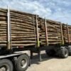 Aktionssortiment Buche / Esche – LKW-Ladung (ca. 45 RM)