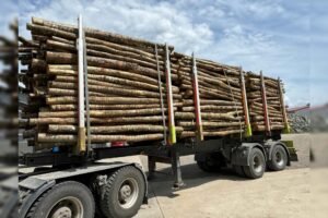 Aktionssortiment Buche / Esche – LKW-Ladung (ca. 45 RM)