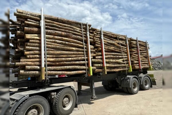 Aktionssortiment Buche / Esche – LKW-Ladung (ca. 45 RM)
