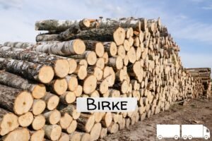 Stammholz Birke – LKW-Ladung flexibel (20 RM oder 40 RM)