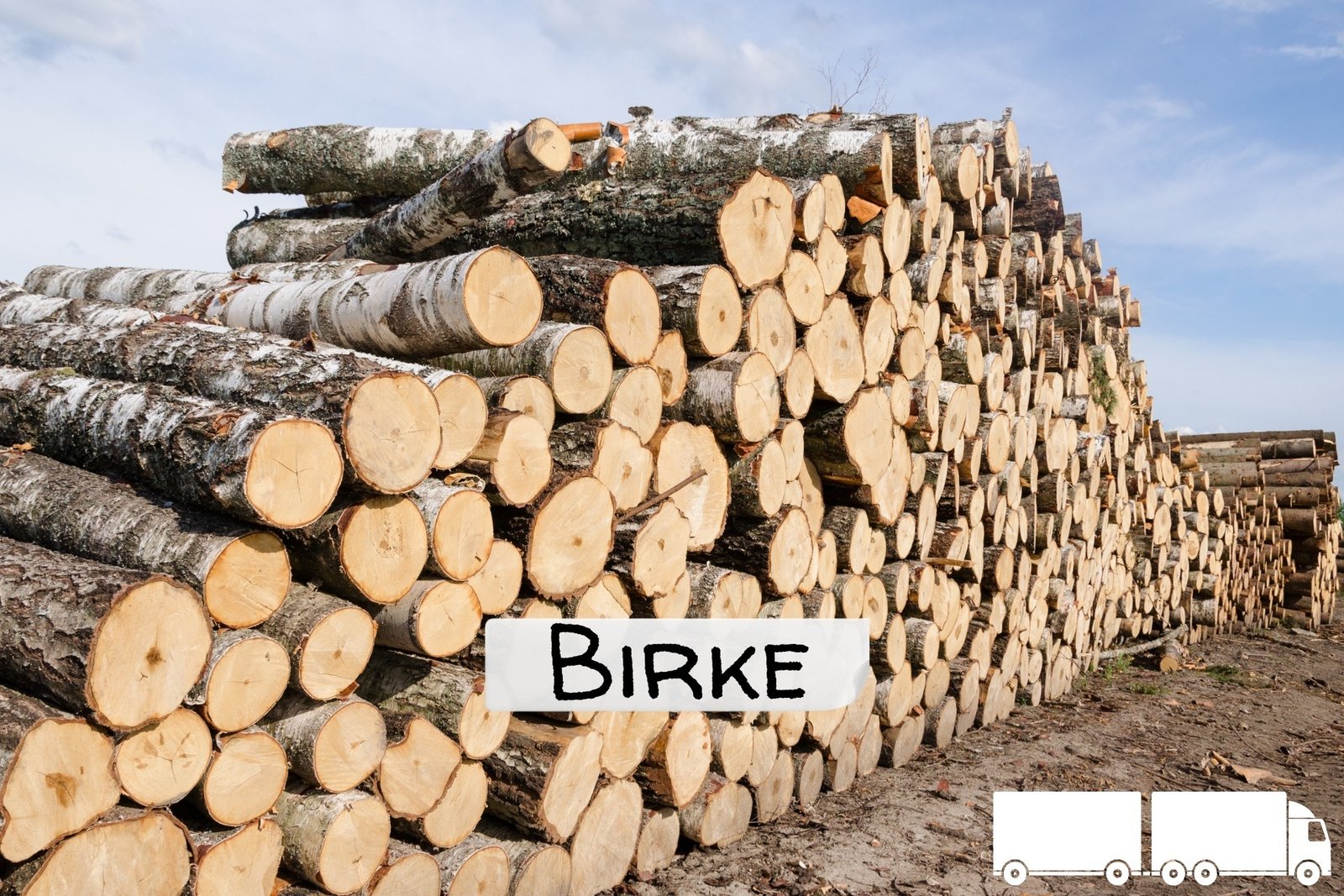 Stammholz Birke &ndash; LKW-Ladung flexibel