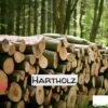 Stammholz Hartholz / Laubholz – LKW-Ladung (20 - 40  RM)