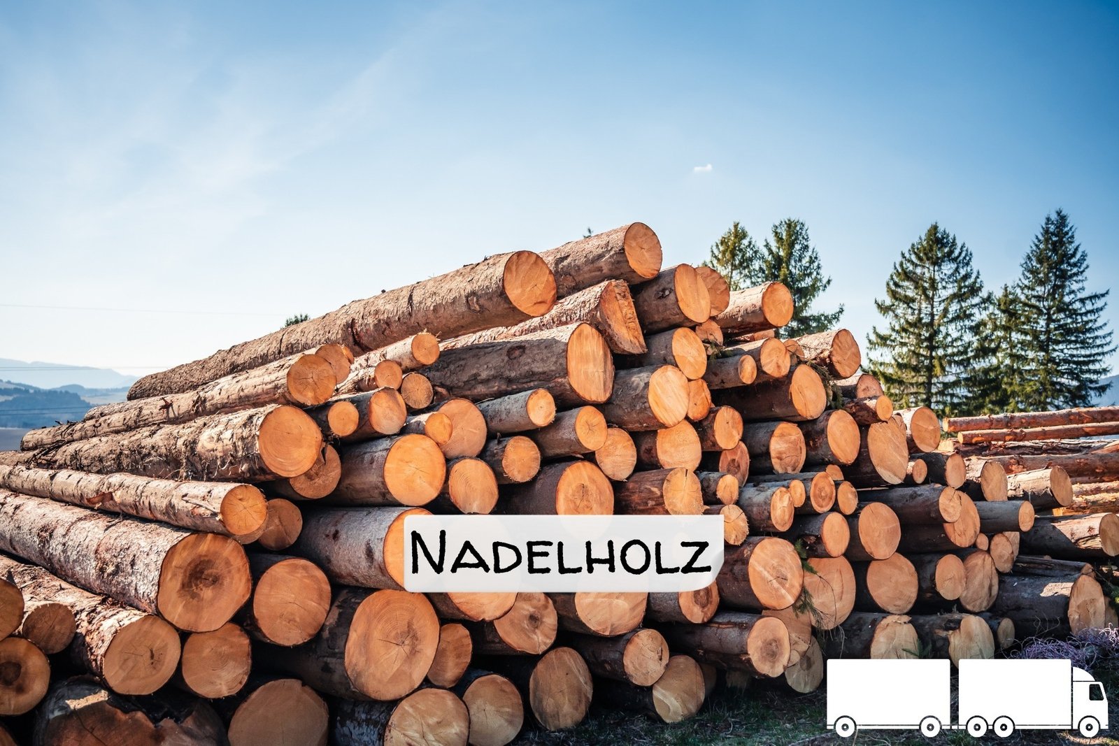 Stammholz Nadelholz &ndash; LKW-Ladung flexibel