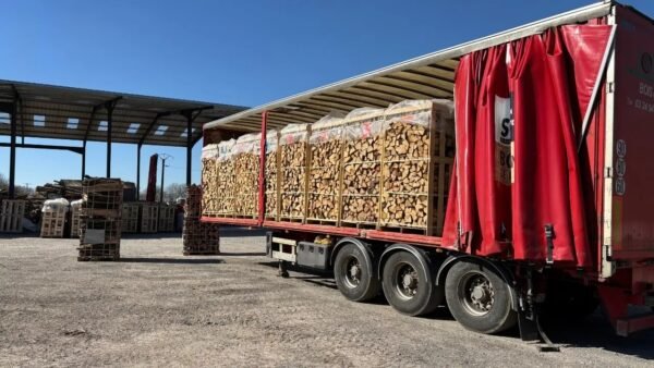 LKW-Ladung Brennholz – Eiche 30/33 cm – kammergetrocknet (44 RM)